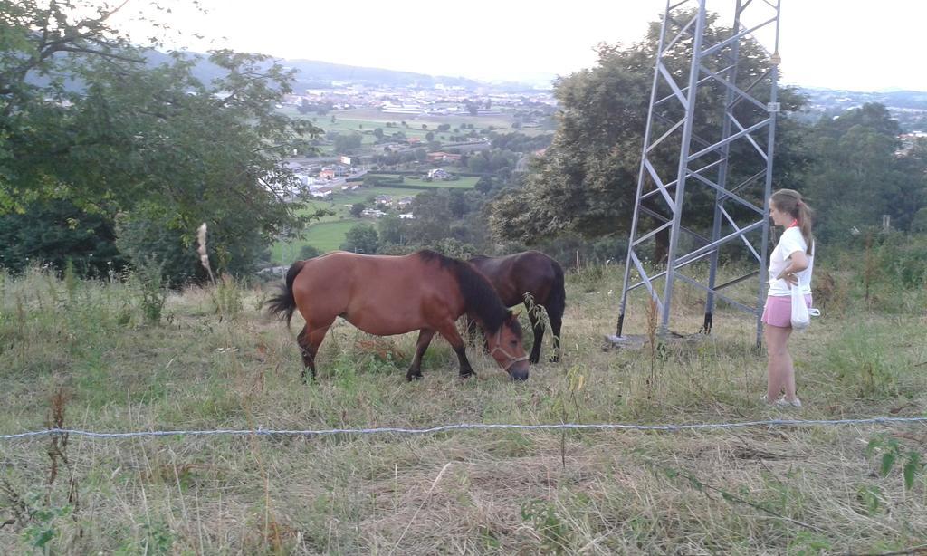 Casa Velarde Ξενοδοχείο Torrelavega Εξωτερικό φωτογραφία